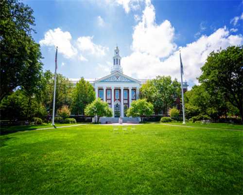 上海这个区启动“一业一证”改革，一企业办许可证时间压缩了81%