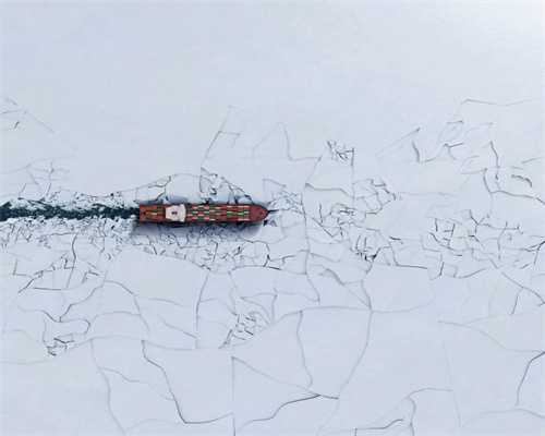 去春游吧！从北景园出发去西湖景区有定制公交了