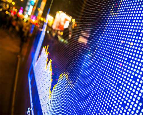 十大世界上最危险的螃蟹排名，埋扇蟹毒性强如眼镜蛇