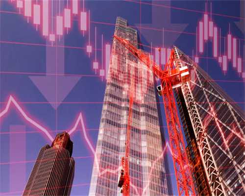 紫荆夜市定制公交专线“上岗”