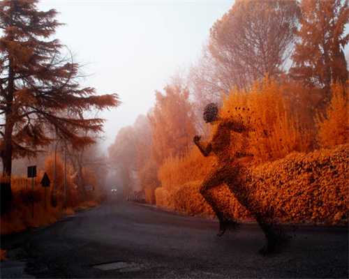 以公租房为诱饵诈骗，呼和浩特警方征集这名女子违法犯罪线索