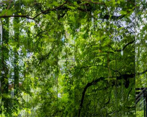 台州路桥区挂牌两宗涉宅地 起始总价约12.68亿元