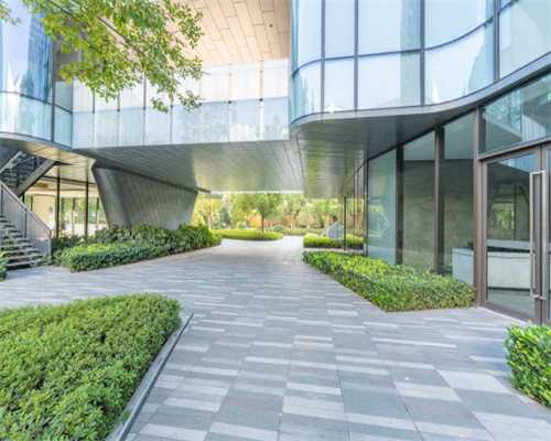 揭秘！铺贴界的“实力王”膏状背胶究竟有多强？