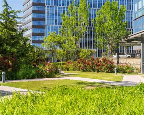 江西南昌县回应地下陵园进展：主体建筑完工，部分问题正整改