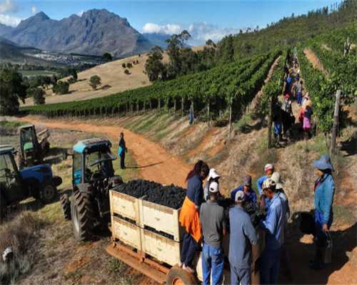 北京将引导6G产业超前布局