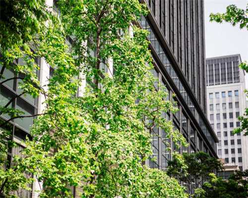 墅中翘楚，高端改善首选法兰谷