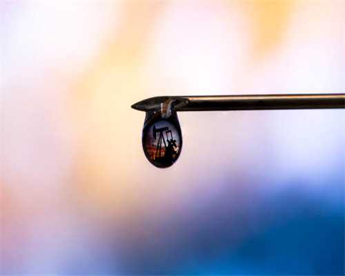 鉴湖明樾 |「筑园篇」流光诗意，柯岩当代低密湖居生活