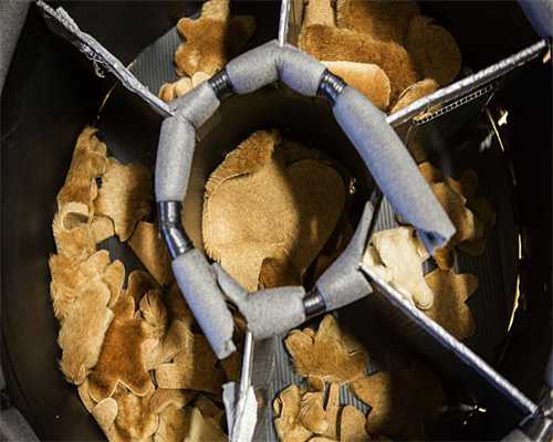 上海市人大暗访垃圾分类推进情况：小区、餐饮店实效逐步提升