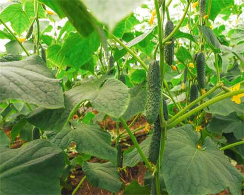 治鼻炎别再花冤枉钱了，几块钱的小东西帮你搞定