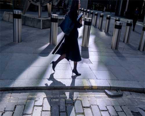 “双屿市”被猪拱塌房