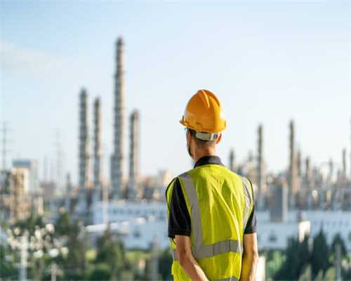 清朝中期边寿民二十幅芦雁绘画题材的艺术作品赏析