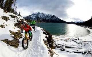 青岛还没买房的恭喜了！新政实行 附最新房价走势图