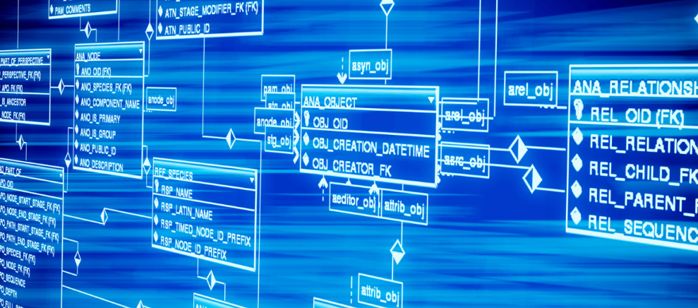 「关注」浦锦又有新动作了？第二个邻里中心即将解锁，一个辐射两万多户居民、集多项综合服务、老少皆宜的乐园社区